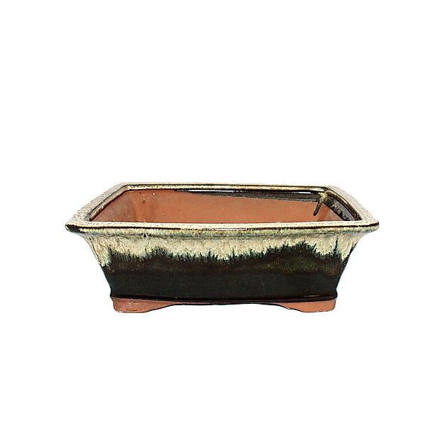 Exotenherz Pflanzschale Bonsai-Schale - rechteckig G93 - zweifarbig braun-b günstig online kaufen