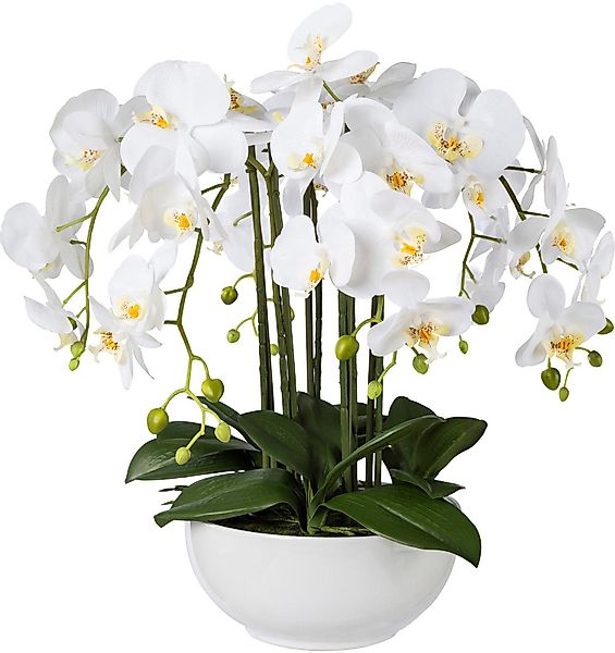 Kunstpflanze Orchidee, Creativ green, Höhe 54 günstig online kaufen