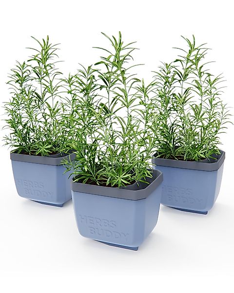 Gusta Garden Kräutertopf KRÄUTERFREUND (3er Set, günstig online kaufen