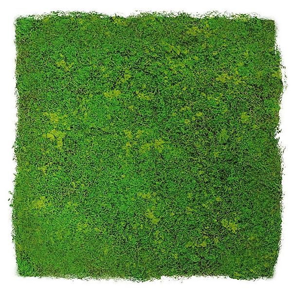 JANGAL 3D Wandpaneel Modular Wall Akustikpaneel, günstig online kaufen