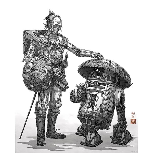 Komar Wandbild Star Wars Vision Samurai Droids 40 cm x 50 cm Schwarz-Weiß günstig online kaufen