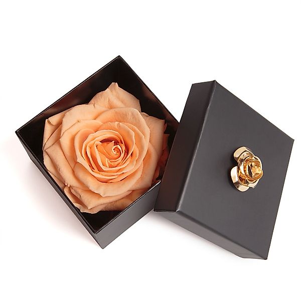 Kunstblume 1 Infinity Rose haltbar 3 günstig online kaufen