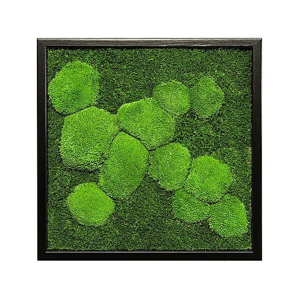 Moos-Design Bild Moosbild Fifty Fifty Design günstig online kaufen