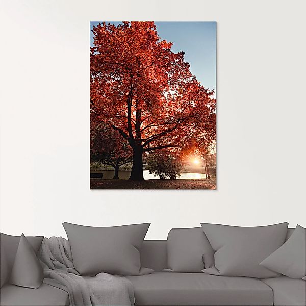 Artland Glasbild »Herbstbaum«, Bäume, (1 St.), in verschiedenen Größen günstig online kaufen