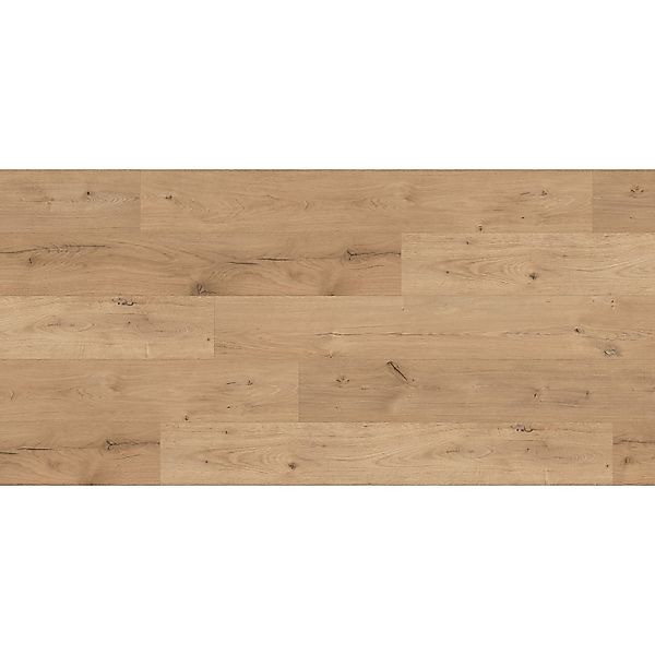 Kaindl Excellent Laminat 8 mm Eiche Ferrara Beachlin günstig online kaufen