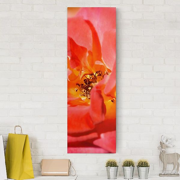 Leinwandbild - Hochformat Shining Rose günstig online kaufen