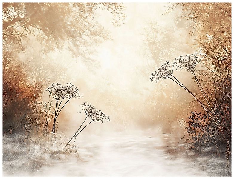 Wallarena Fototapete Wald Natur Landschaft Vlies Tapete Wohnzimmer Schlafzi günstig online kaufen