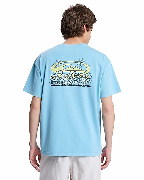Quiksilver T-Shirt "Nd Nature Magic" günstig online kaufen