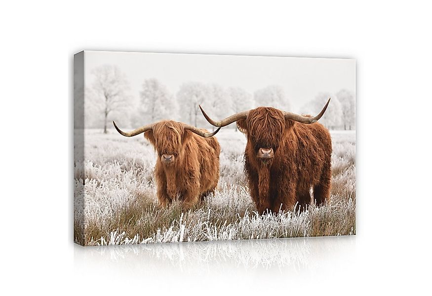 Wallarena Leinwandbild Schottische Kuh Tier Natur Modern Wandbilder Wand De günstig online kaufen