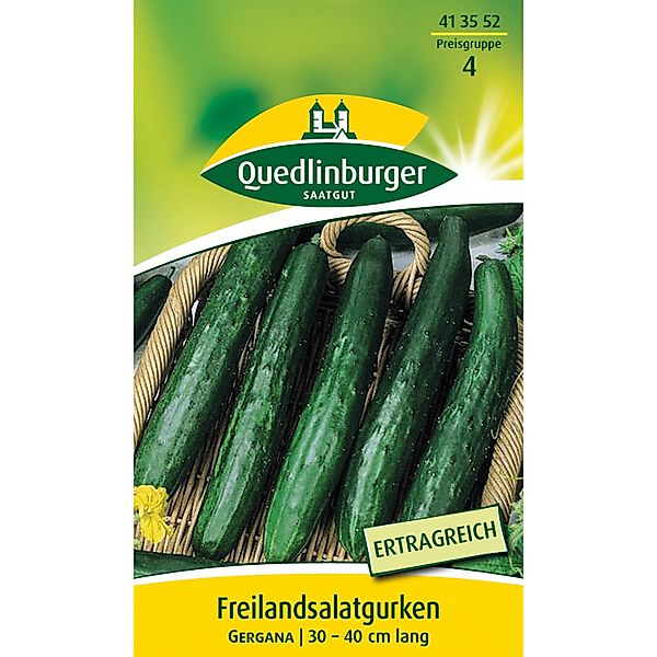 Quedlinburger Salatgurke ''Gergana'' günstig online kaufen