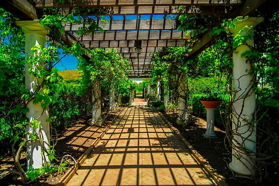 Papermoon Fototapete »Garden Walkway« günstig online kaufen