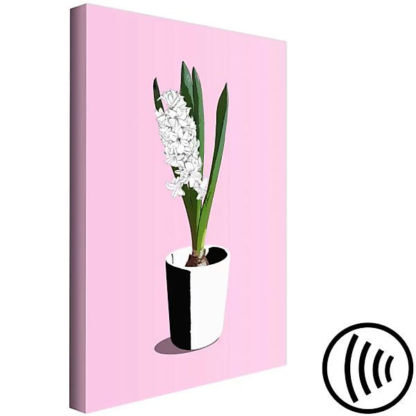 Wandbild Weiße Hyazinthe im schwarz-weißen Topf auf einem rosa Hintergrund günstig online kaufen