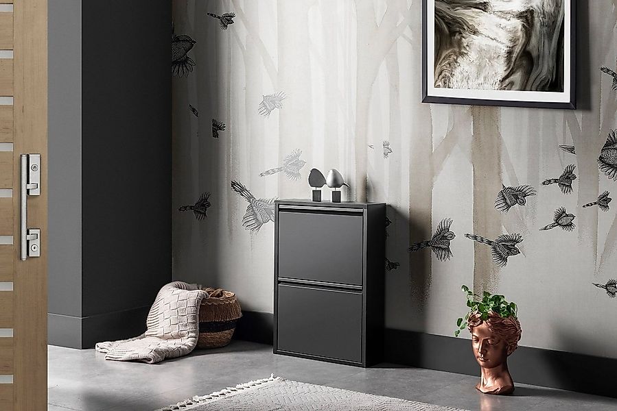 gowoll Schuhschrank Schmal Schuhregal Metall Schuhkipper mit Magnet Klappen günstig online kaufen