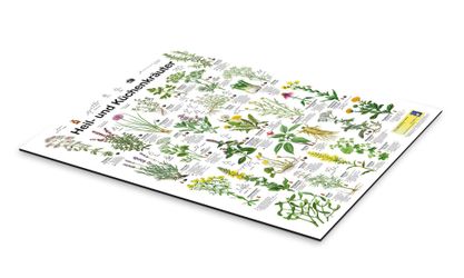 Posterlounge Poster Planet Poster Editions, Heil- günstig online kaufen