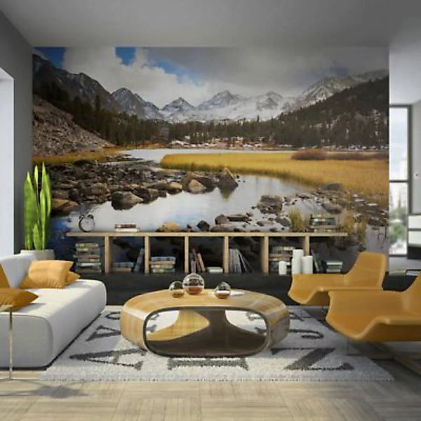 artgeist Fototapete Mountain stream mehrfarbig Gr. 200 x 154 günstig online kaufen