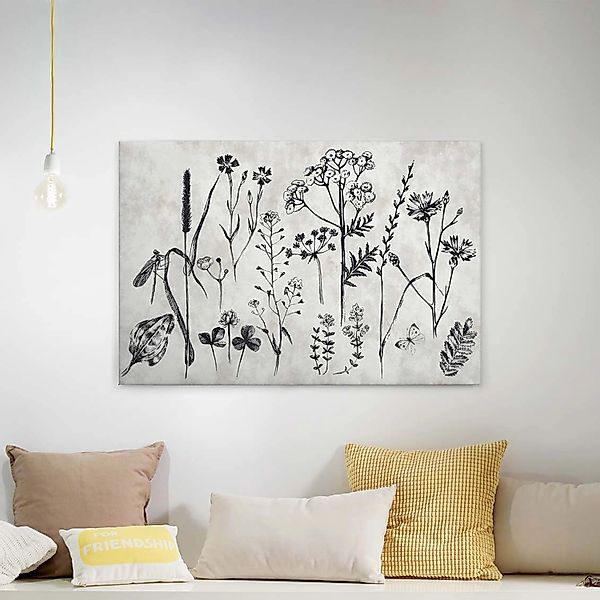 Bricoflor Botanische Zeichnung Auf Leinwand Modernes Wandbild In Grau Und S günstig online kaufen