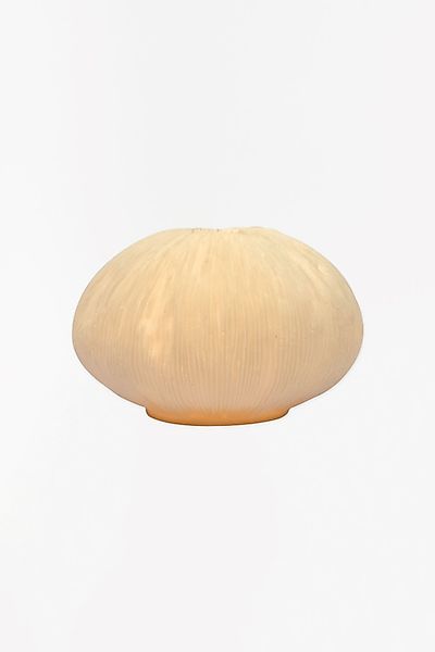 Kleine Korall Lampe – maritime Tischlampe im dekorativen Design Höhe 18,5 c günstig online kaufen