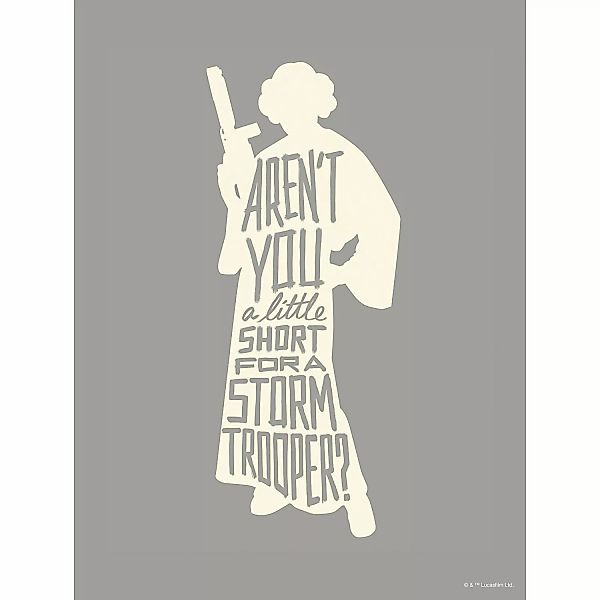 Disney Poster Leia Quotes Grau 30 x 40 cm 612162 günstig online kaufen