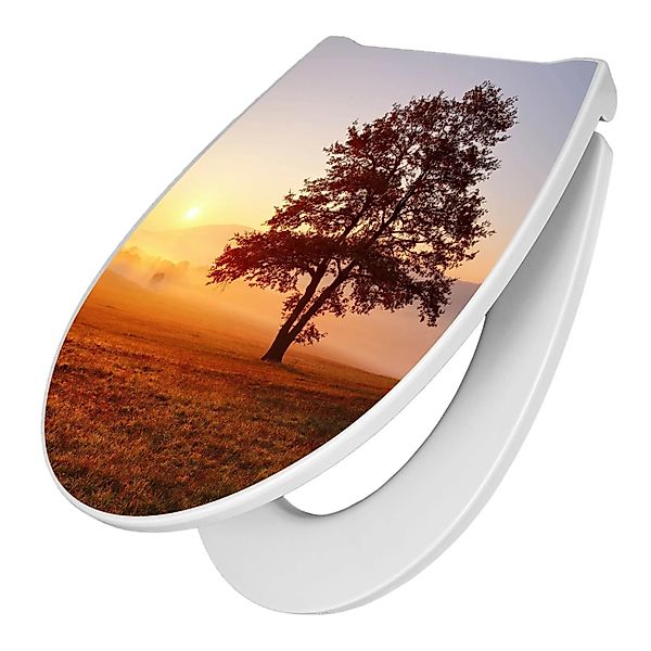 Banjado Premium Toilettendeckel Mit Absenkautomatik WC-Sitz Soft Close Hygi günstig online kaufen