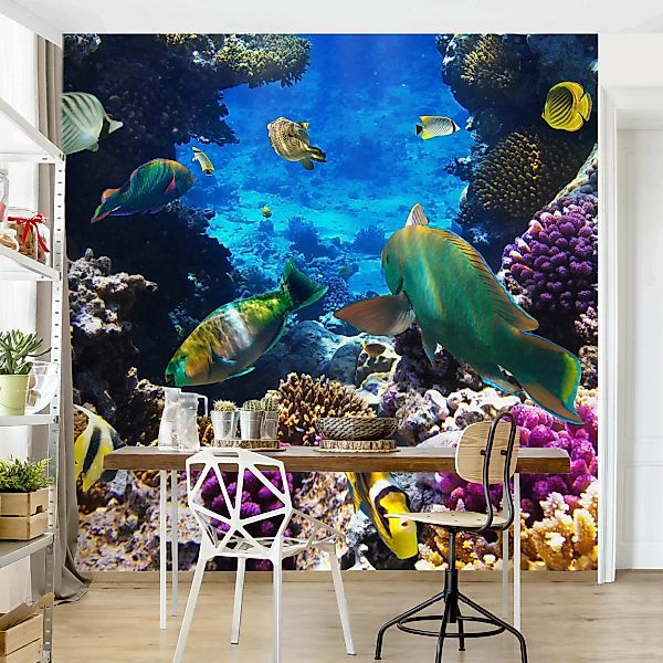Fototapete Underwater Dreams günstig online kaufen