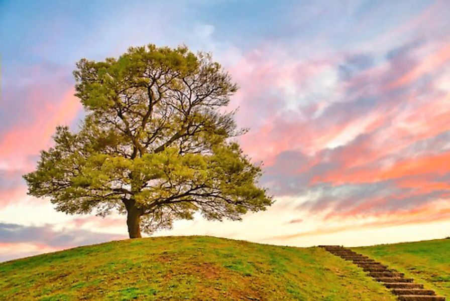 Papermoon Fototapete »Baum in Landschaft« günstig online kaufen