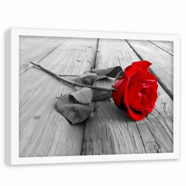 FEEBY® Kunst rote Rose Leinwandbilder bunt Gr. 60 x 40 günstig online kaufen