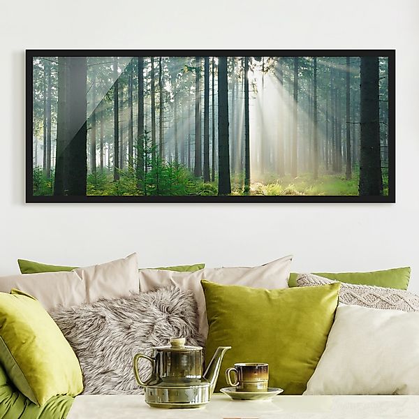 Bild mit Rahmen - Panorama Enlightened Forest günstig online kaufen