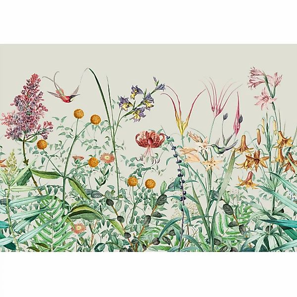Art for the Home Fototapete Botanical garden  280x400cm günstig online kaufen