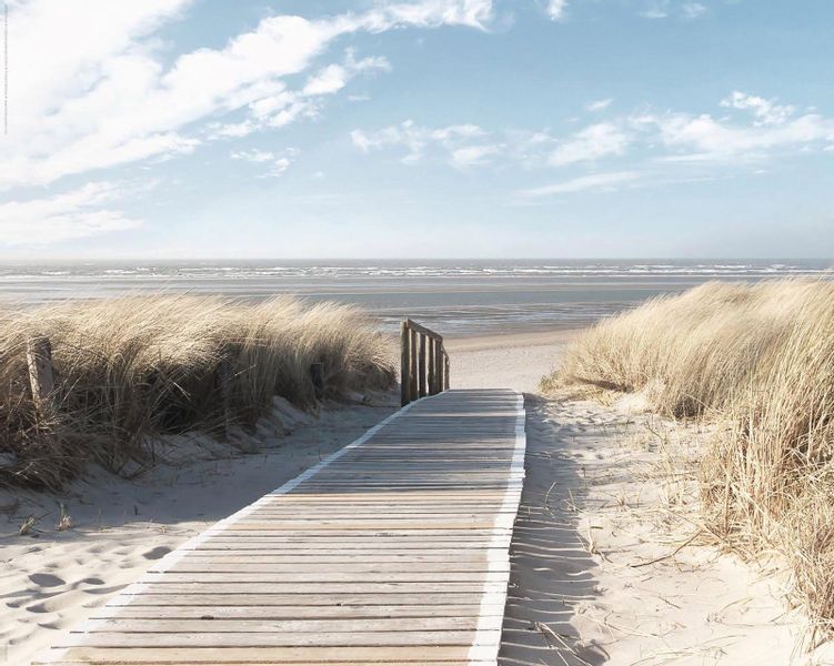 Reinders! Deco-Panel Nordsee Dünen günstig online kaufen