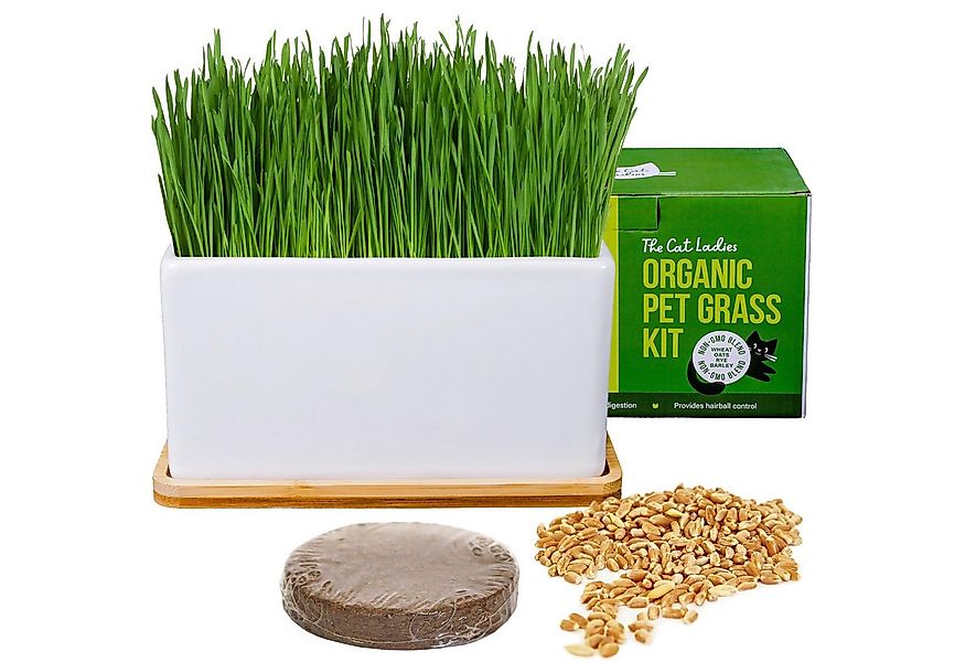 The Cat Ladies Rasensamen The Cat Ladies Katzengras Kit mit Keramik Pflanzg günstig online kaufen