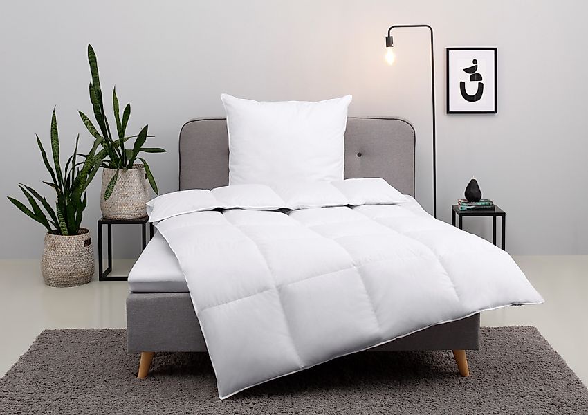 my home Daunenbettdecke + Kopfkissen Cavanelle günstig online kaufen