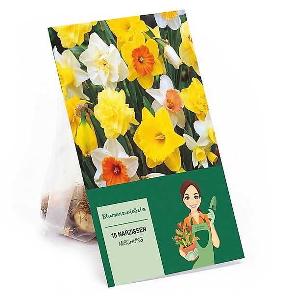 Narzissen Einfach Mischung 15 Stück Narcissus Mixed günstig online kaufen