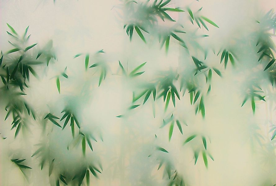 living walls Fototapete "Walls by Patel Panda`s Paradise" glatt Vlies, Wand günstig online kaufen