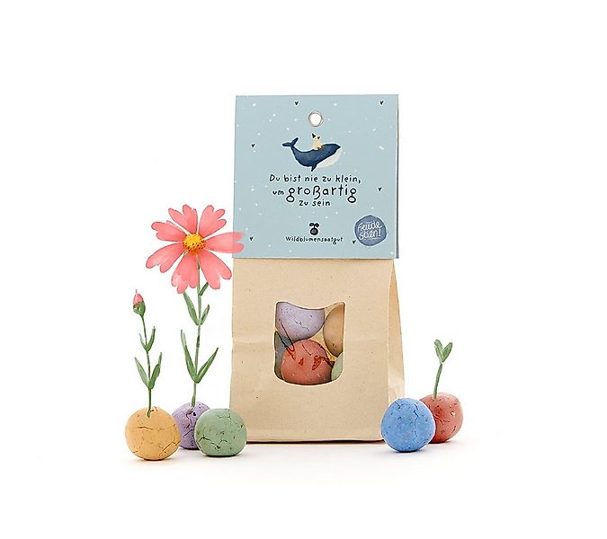 Die Stadtgärtner Blumensamen 8 Wildblumen-Saatkugeln als Mutmacher, Geschen günstig online kaufen