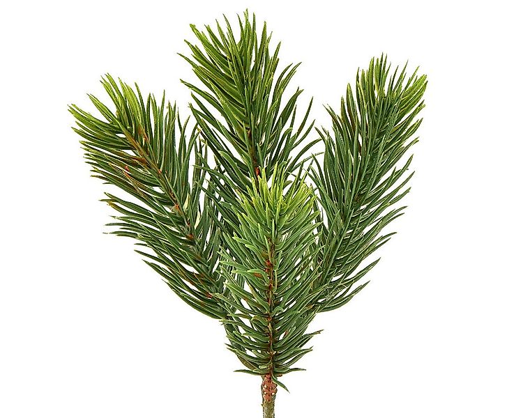 Winterliche Kunstpflanze Künstliche Fichtenzweige Deko-Set 24 Stück für Inn günstig online kaufen