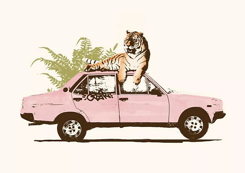 Poster / Leinwandbild - Tiger Auf Dem Autodach günstig online kaufen