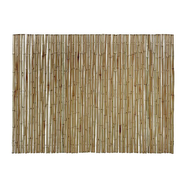 Floraworld Sichtschutz Bambusmatte Gala 150 cm x 300 cm Bambus Hell günstig online kaufen