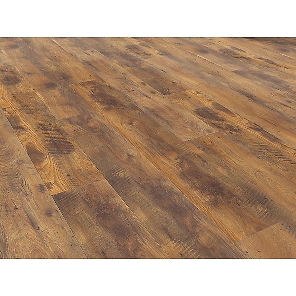Living by Haro XL Laminat 8 mm Eiche Altholz günstig online kaufen