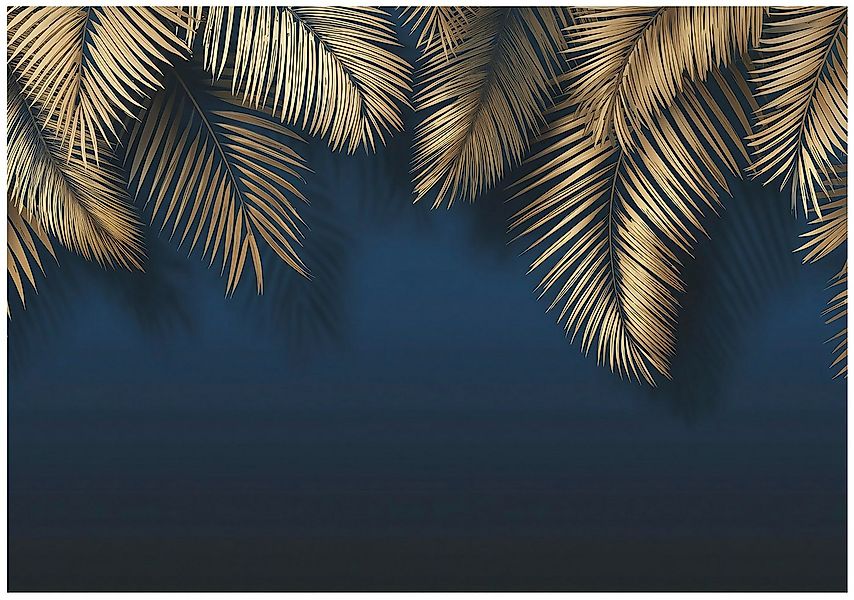 Wallarena Fototapete Federn Weiß Gold Vlies Tapete Wohnzimmer Schlafzimmer günstig online kaufen