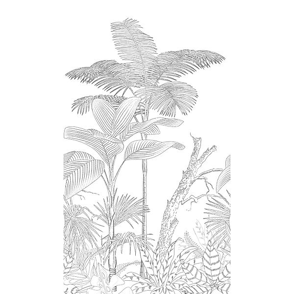 Livingwalls Fototapete Tropische Blätter Schwarz und Weiß 159 x 280 cm AS-3 günstig online kaufen