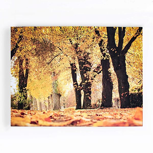 Art for the home Leinwandbild "Art for the Home Leinwandbild Herbst - 100x7 günstig online kaufen