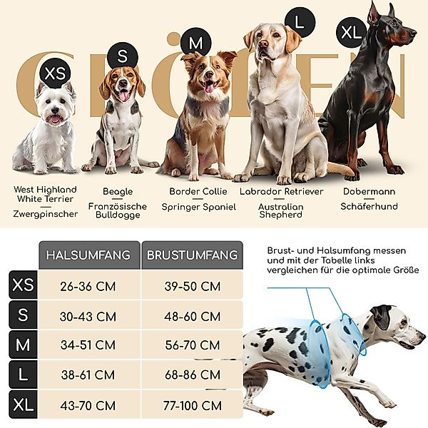 Freudentier Hunde-Geschirr mit Mesh-Polsterung - Hundegeschirr günstig online kaufen