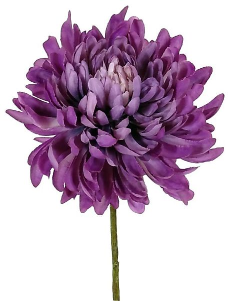 Künstliche Chrysantheme Lila Kunstblume 58cm günstig online kaufen