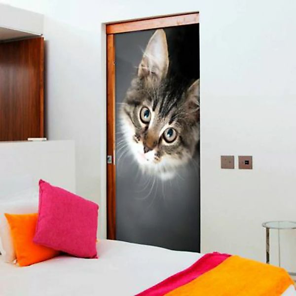 artgeist Türtapete Charming Kitten mehrfarbig Gr. 80 x 210 günstig online kaufen