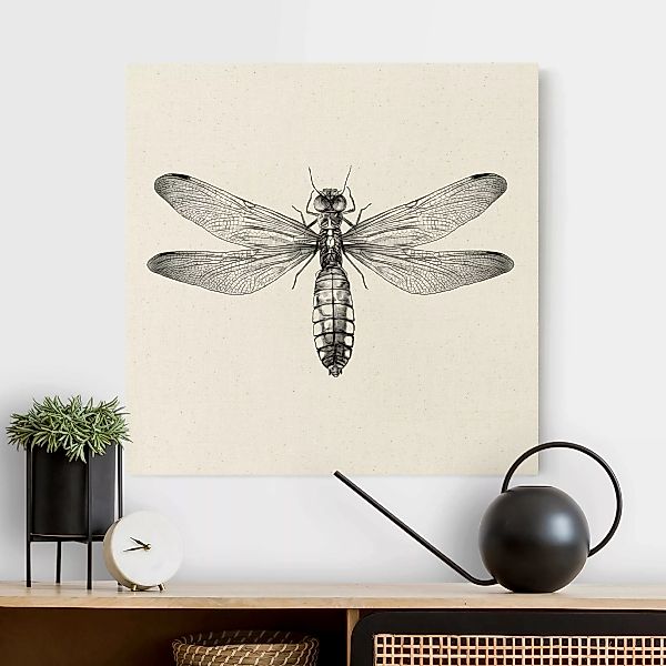 Leinwandbild auf Canvas Natural Illustration fliegende Libelle Schwarz günstig online kaufen