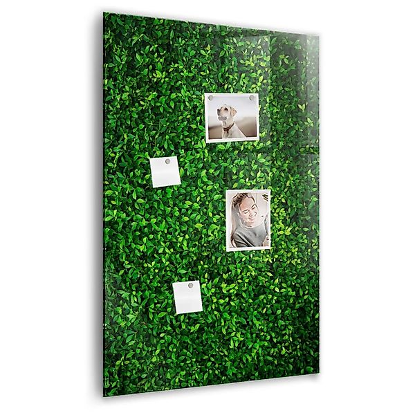 Tulup Magnettafel Beschreibbar Blätter Der Zaunpflanze 60x90 cm Magnettafel günstig online kaufen