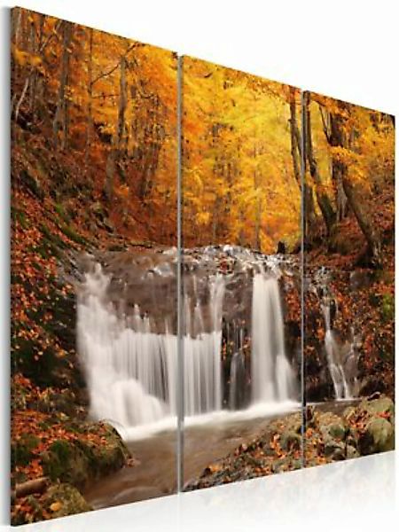 artgeist Wandbild Wasserfall im bunten Laub mehrfarbig Gr. 60 x 40 günstig online kaufen