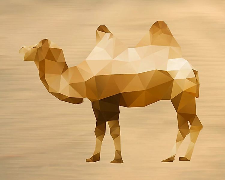 Fototapete "Camel on Sand" 4,00x2,70 m / Glattvlies Perlmutt günstig online kaufen
