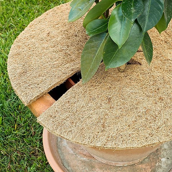 GartenHero Kokosscheibe Kokosscheibe isolierend Kokosmatte Winterschutz günstig online kaufen