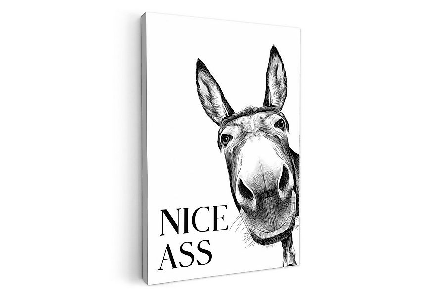 OneMillionCanvasses® Leinwandbild Zitat - Esel - Dieren - Nice ass - Sprüch günstig online kaufen